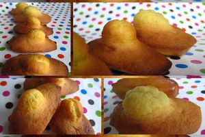 Madeleines aux Huiles Essentielles