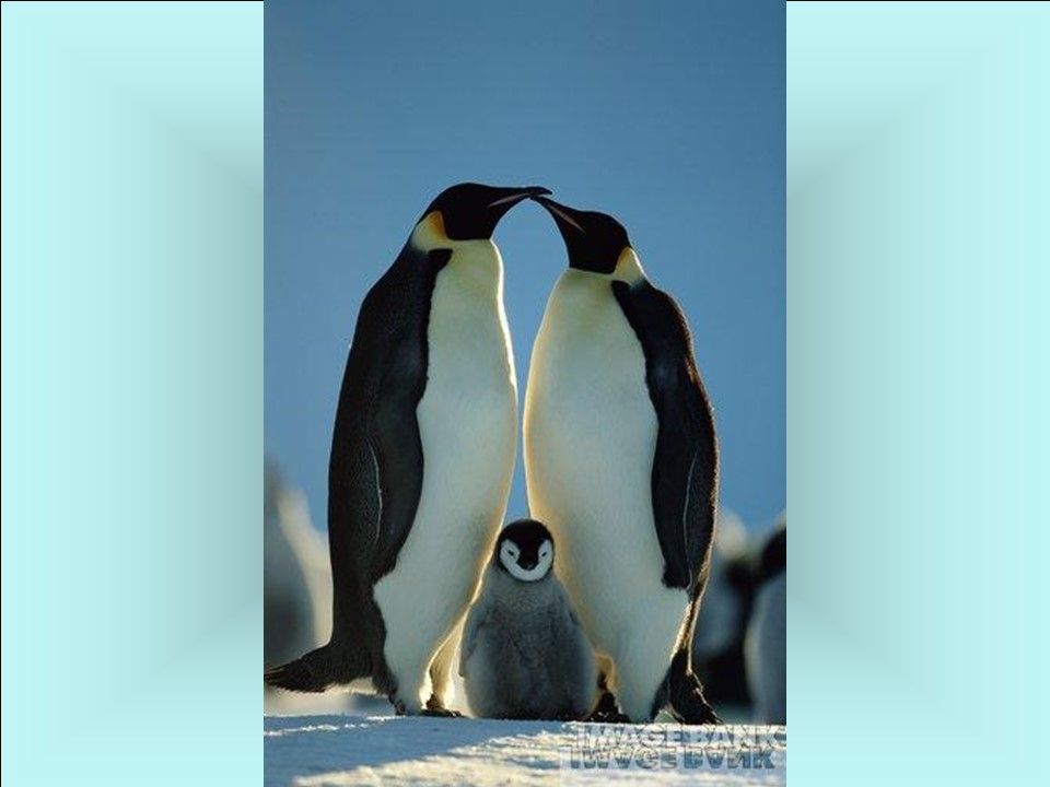 Divers - Les Mamans 2-