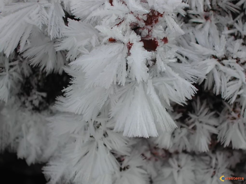 Quand le froid prend son compas...