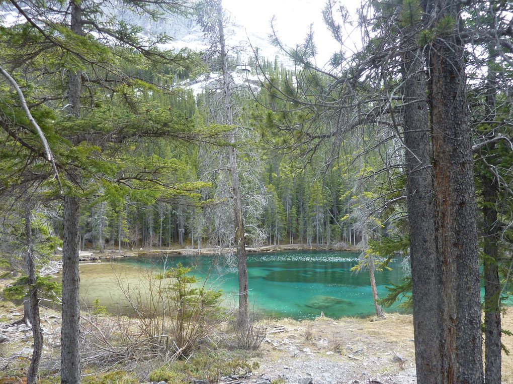 Les Grandes Prairies entre le Manitoba, la Saskatchewan et l'Alberta... et les fascinantes Montagnes Rocheuses avec leurs parcs nationaux...