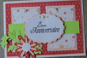 cartes reçues pour mon anniv