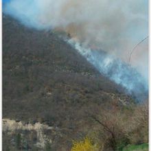 Incendie à Norante avril 2015