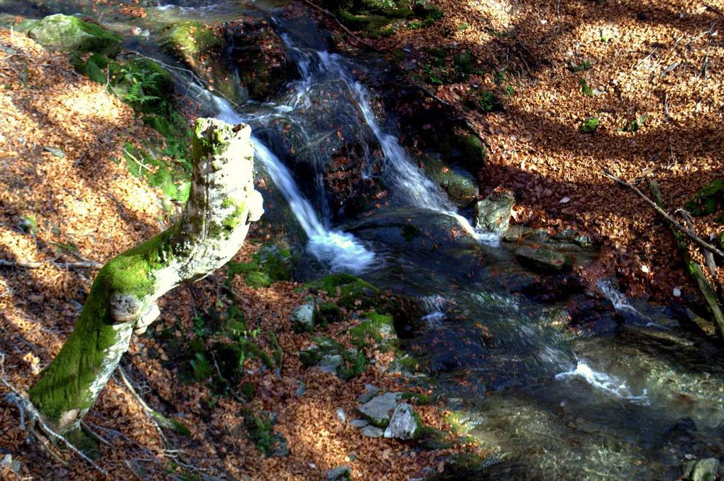 Paysages de la boucle du Mont Aigoual