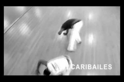 Danse : apprendre la Capoeira (Youtube)