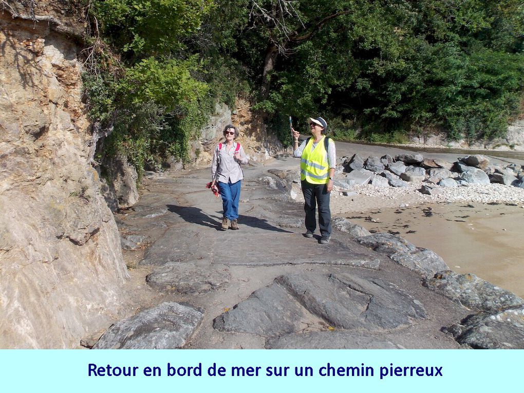 Randonnées groupe des 8 km à St Nazaire