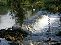 agenda dimanche 20 mai 2018 fête de la Nature à St Leonard des bois 72130 Sarthe