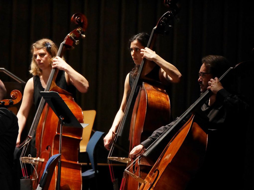 17h45  Bernstein  Danses symphoniques de West Side Story / Ensemble Orchestral de Dijon, dirigé par Flavien BOY