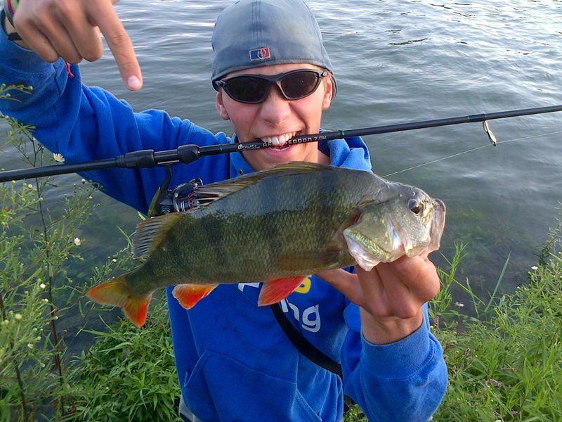 2012 est déja commencer et les fish ne tardent pas à montrer leurs nageoires