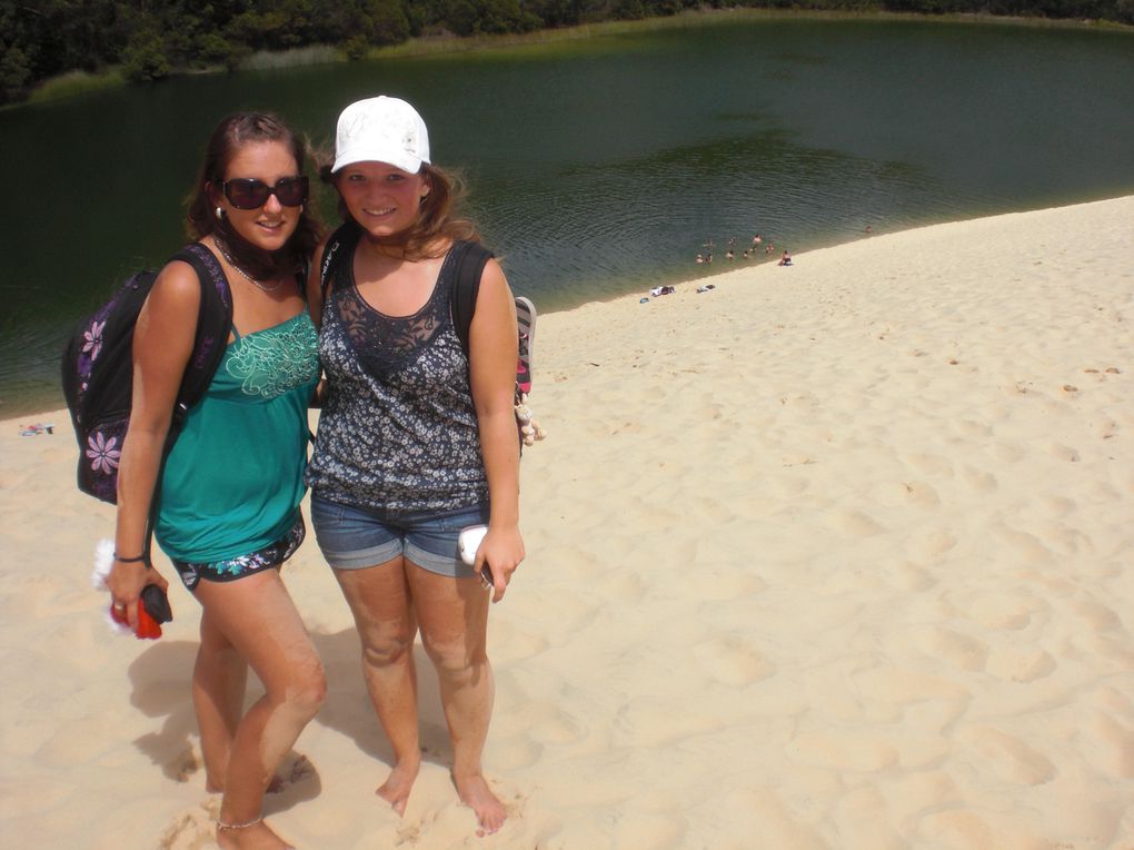 Mal wieder ein toller Urlaub, von Sydney, Brisbane, Fraser Island und last but not least Moreton Island!