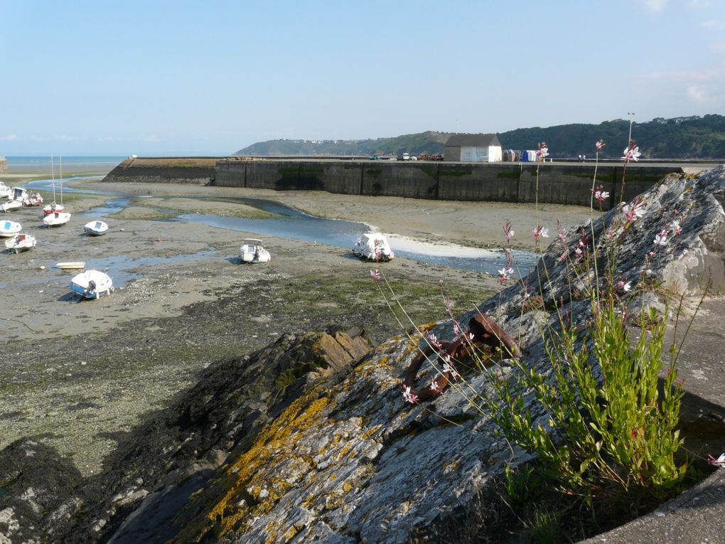 Album - Bretagne été 2011