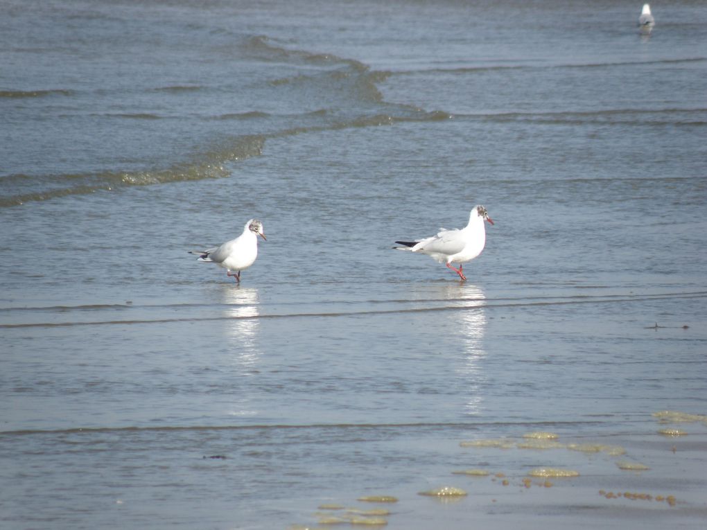 mers du nord ecluses etangs paysages