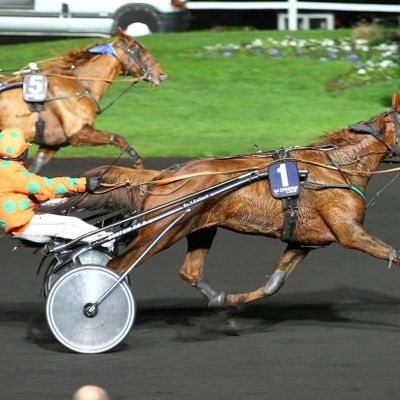 Quinté vendredi à Vincennes : Atout du Hainaut, atout Rico 