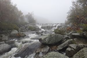 Aventures cévenoles (4) : Kayak sur le Tarn & rando sur le mont Lozère