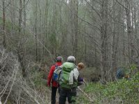 Après le point de vue à la table d'orientation et la descente par le petit bois, retour vers le parking à Ensuès-la-Redonne.