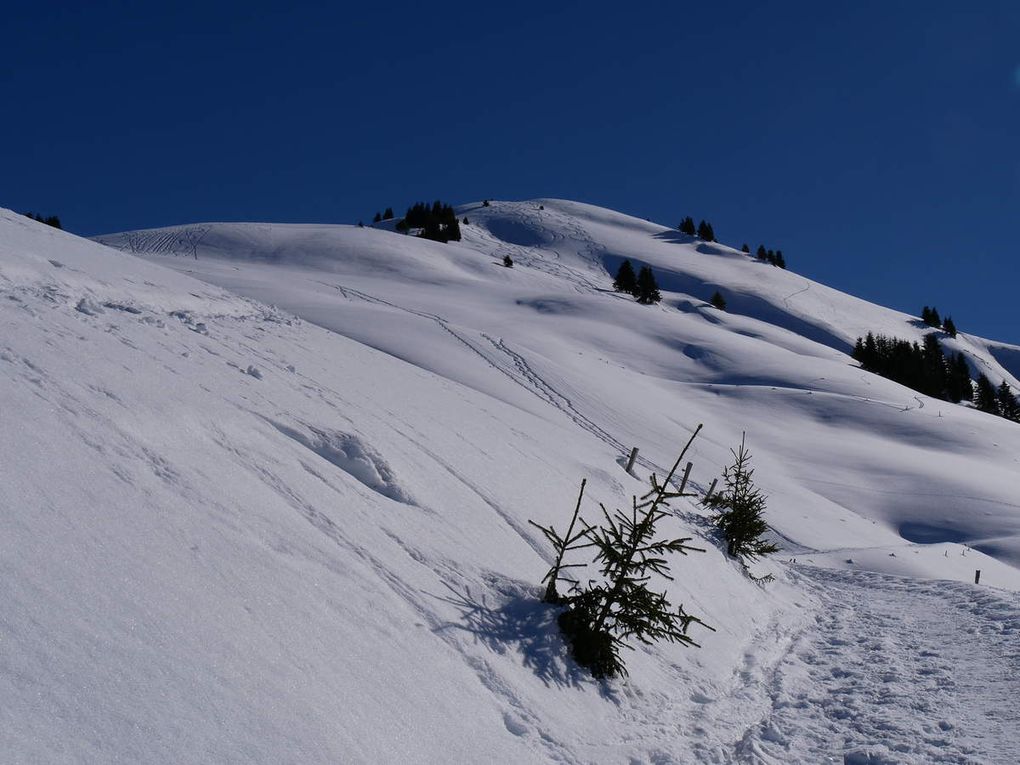 Pointe d'Orsière 1750m - (Aravis)