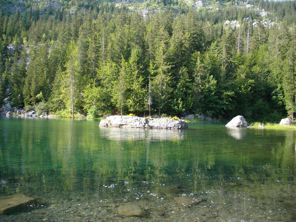 du 5 au 9 juillet 2009
Entre Arve et Giffre
Haute Savoie