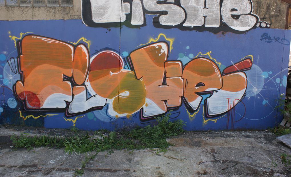 Album - Graffitis-Toulouse-tom-002