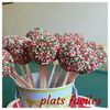 pop cakes sans moule