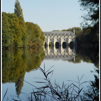 Photo : Château de Chenonceau