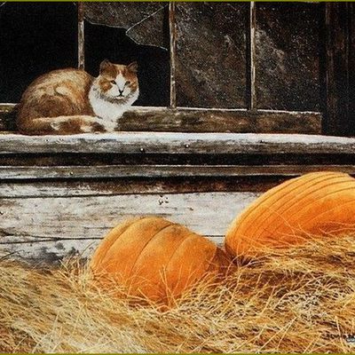 Les chats par les peintres -  Richard Belanger