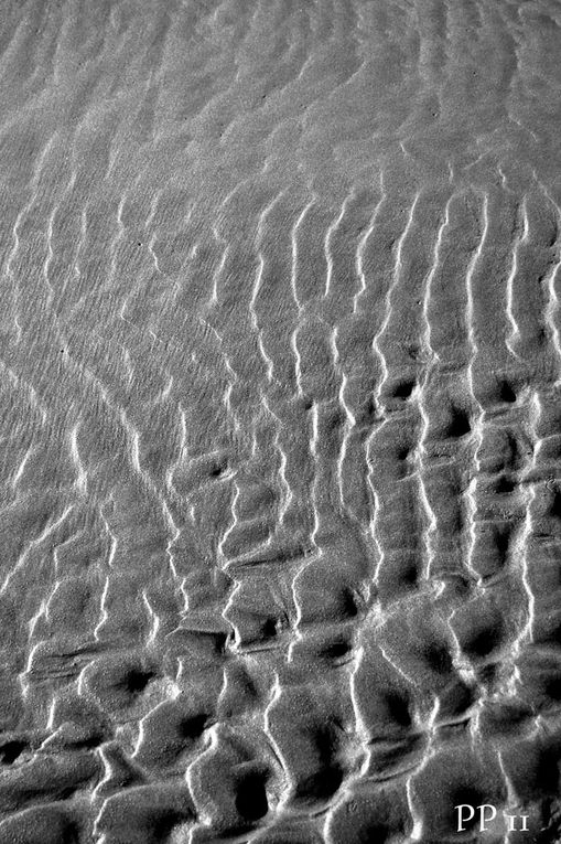 1) plage de la vieille Nouvelle après la tempête Port-la-Nouvelle 28 janvier 2009 
2) coup de mer photos du 17 février 2010
2) coup de mer photos du 28 février 2010
3) Gruissan 28 mars 2010
4) port la nouvelle 5 avril 2010
5) port la nouvell