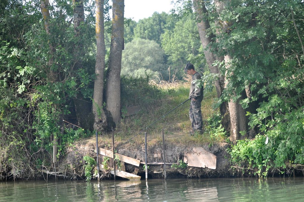 Photos réalisées lors de la balade en bateau en juillet 2012 par petit temps gris ce qui se reflète bien sur les prises de vues.