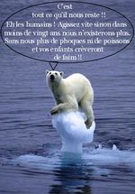 Le message de l'ours blanc