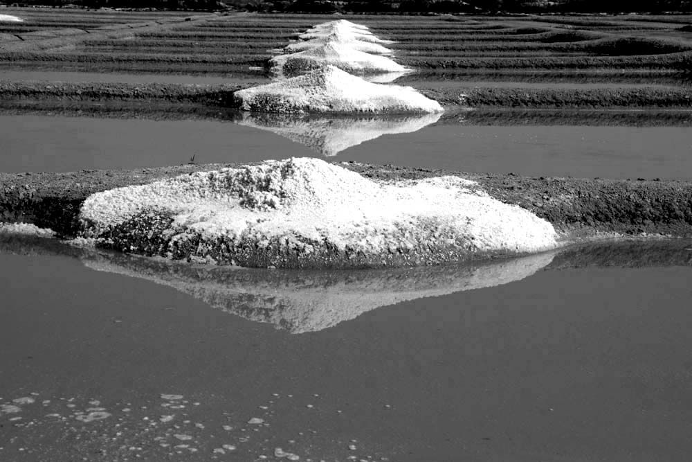 Album - Les Marais-salants de Guerande en noir et blanc