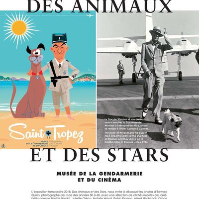 Des animaux et des Stars...