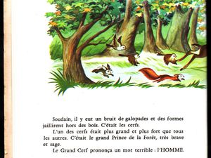 Bambi Raconté par Claude Nicot et Anna Gaylor