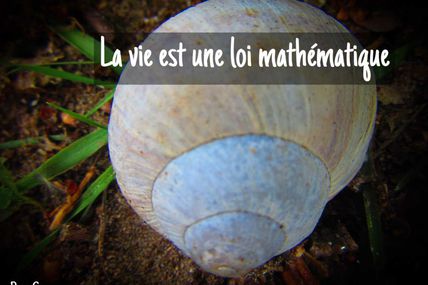 La vie est mathématique 