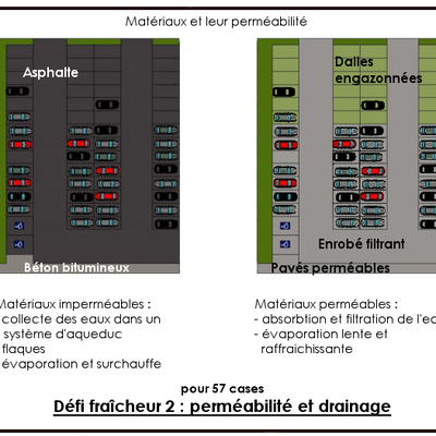 Jeu des 7 fraîcheurs (suite2)