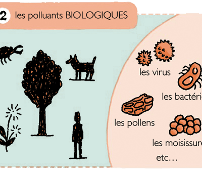 POLLUANTS BIOLOGIQUE