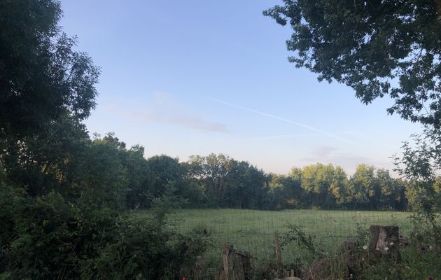 Un beau temps 