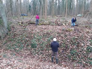 Il s'agit de dégager la rigole "technique", le sentier de visite et les abords de la rigole, de tous les branchages qui sont restés après la coupe récente, dans les parcelles 38 et 39, en particulier. Nous voulons redonner un bel aspect à ce qui est le coeur du réseau hydraulique.