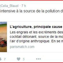 Pollution de l'air : la bêtise politique en 140 caractères