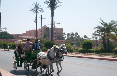 conférence au Maroc