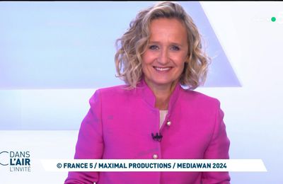 Caroline Roux C Dans l'Air France 5 le 30.04.2024