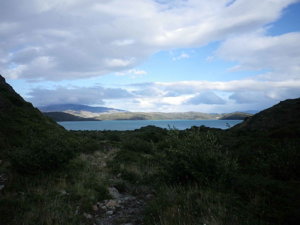 Album - 03/ Puerto Madryn et Torres del Paine