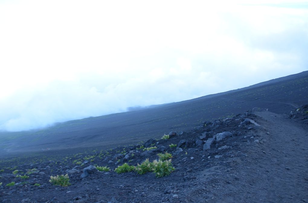 Album - FUJI-SAN