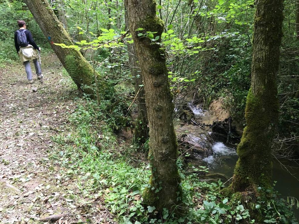 RANDO DU 16 JUIN 2018 ORGANISEE PAR LAS GROULOS LONGAGNOS