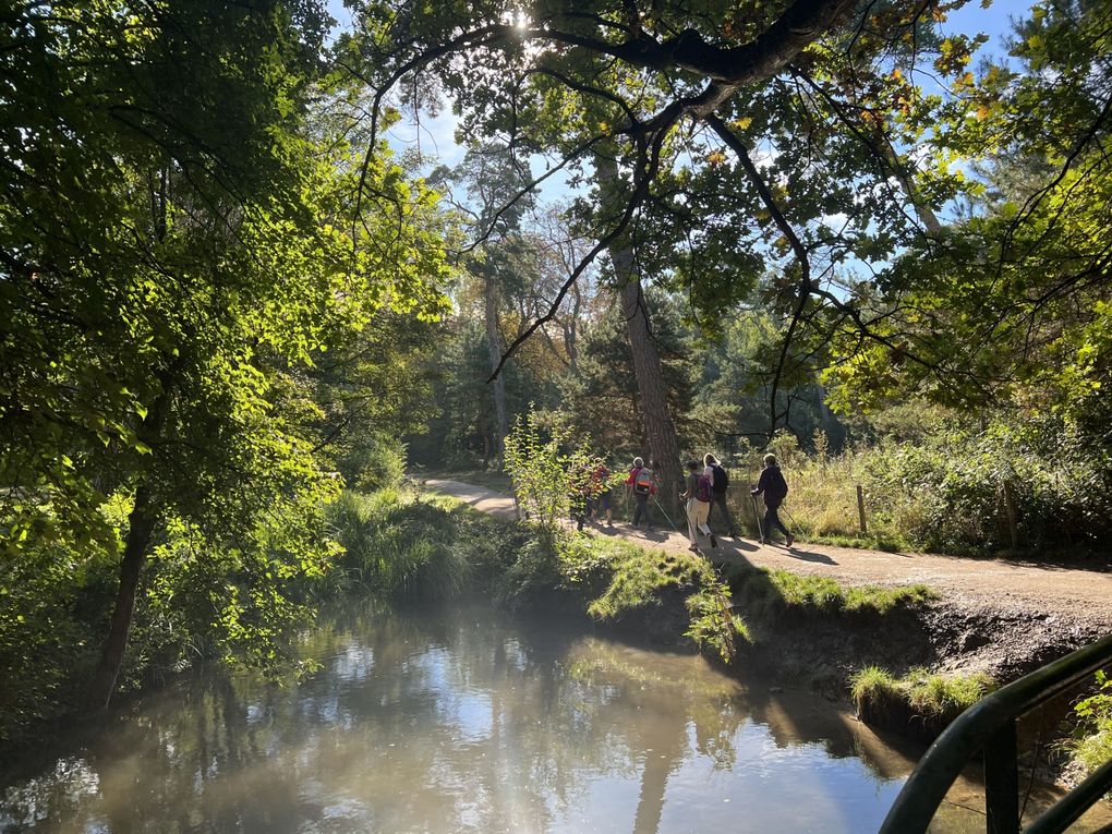 Marche Nordique au Bois de Vincennes - 7,1 km.