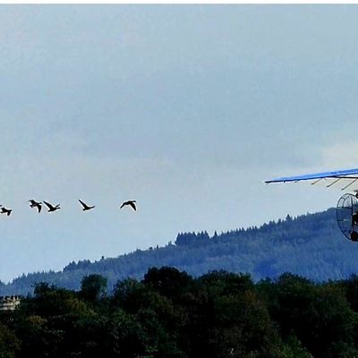 CERVOLIX A ISSOIRE 2018 et 2023 - VOLER AVEC LES OISEAUX DE C. MOULLEC, VIDEOS