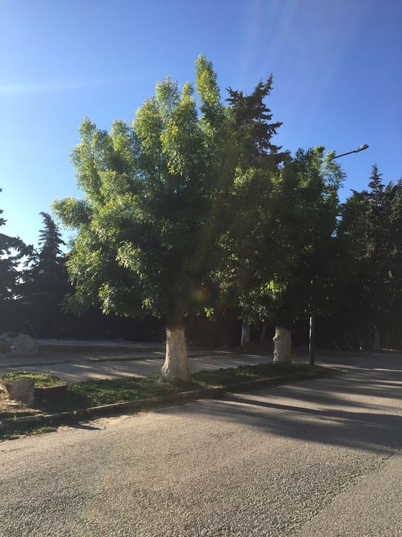 De Rome à Sbeilta, de Hesse à Beni Mtir, de Kanhawa River à Bouhertma, de l'Historic Road 66 à la route de Fernana, des Apalaches aux Kroumiries: la différence ce n'est pas la vue...c'est la vision. Pr Neziha Gouider-Khouja