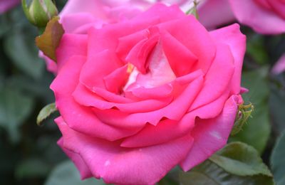 Le cartoscope du mercredi 12 novembre 2025