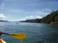 Notre randonnée-kayak en image ! On aura évité les ferry qui arrivaient à Picton et vu quelques oiseaux sympas :)