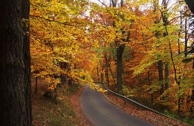 Der Herbst ist ein Maler