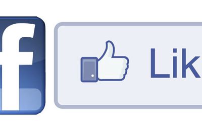 Facebook likes and fans for business fan page