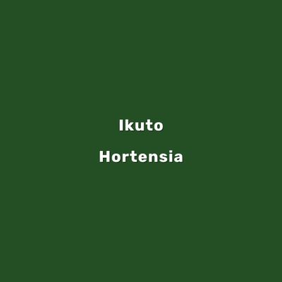 Hortensia