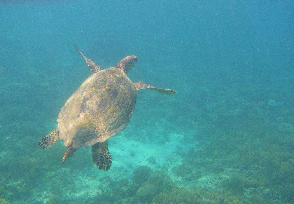 Les petites îles de la Sonde &quot;Gili Air, Gili Meno, Gili Trawangan&quot;